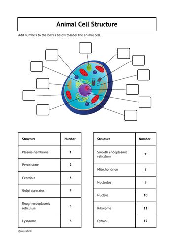 Biology 8765 Answers Animal Cell Epub