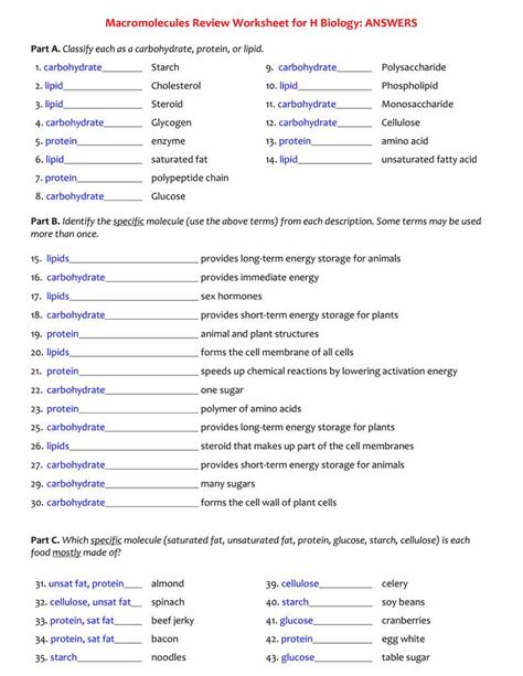 Biology Answer AI: 6472-Code Unlocking Life's Secrets