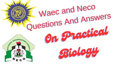 Biology Answer For Neco 2013 Kindle Editon