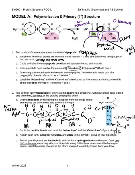 Biology Answer Key Protein Structure Pogil Epub