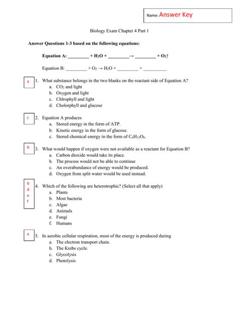 Biology Assessment 3 Answers PDF