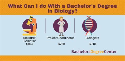Biology Bachelor's Degree: A Gateway to Diverse Career Opportunities