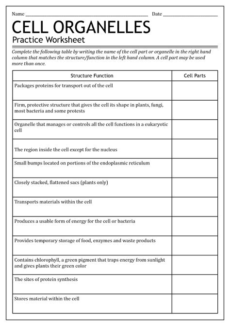 Biology Cell Organelles Worksheet: A Comprehensive Guide