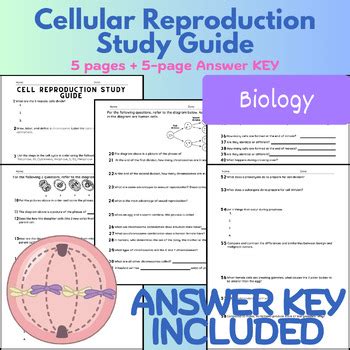 Biology Cellular Reproduction Answer Key Kindle Editon