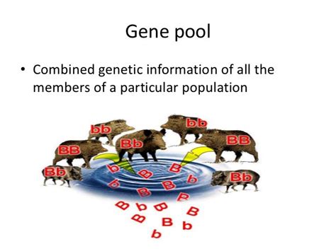 Biology Chaper 16 1 Genes And Variation Answers Epub