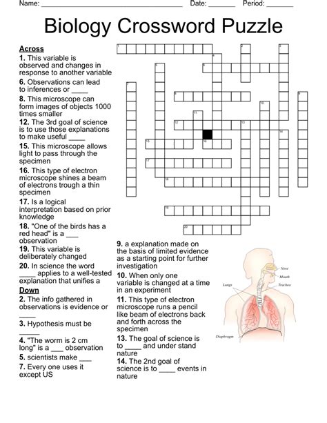 Biology Chapter 15 Darwin Vocabulary Review Crossword Puzzle Answers PDF