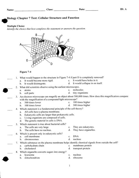 Biology Chapter 7 Answers Reader