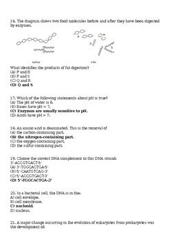 Biology Chemistry Of Life Test Answer Key Doc