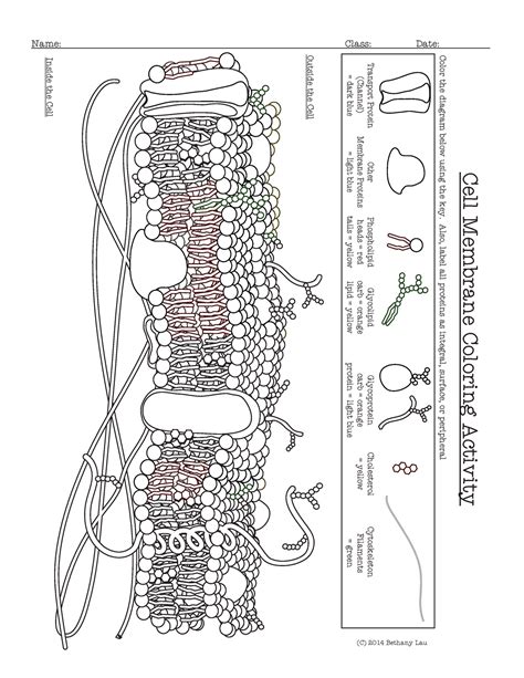 Biology Coloring Answer Key Kindle Editon