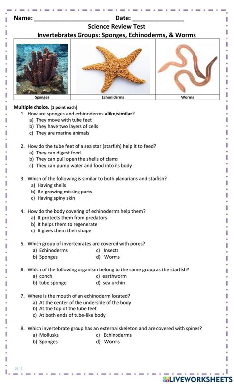 Biology Comparing Invertebrates Answer Key Reader