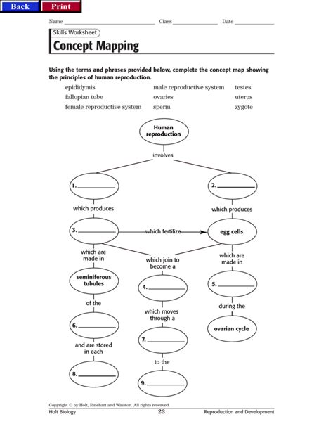 Biology Concept Map Answer Doc