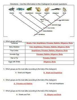 Biology Corner Cladogram Answer Key Doc