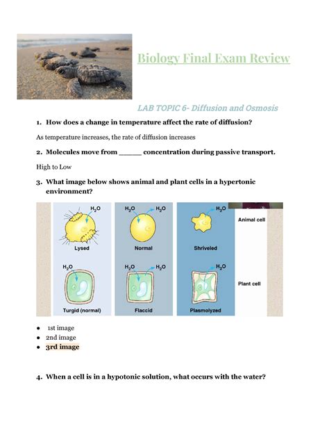 Biology Cst And Final Exam Review Answer Epub