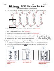 Biology Dna Review Packet Answers Doc