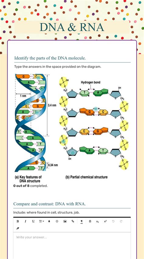 Biology Dna Rna Workbook Answers Kindle Editon