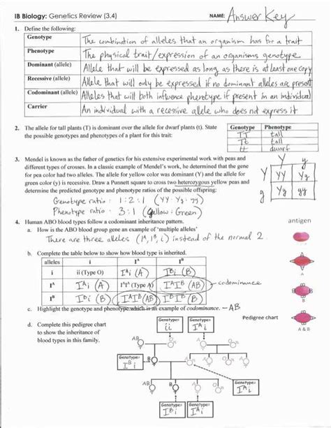 Biology Eoc Answer Key Kindle Editon