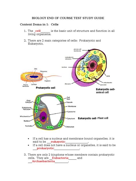 Biology Eoct 2013 Answer Key Kindle Editon