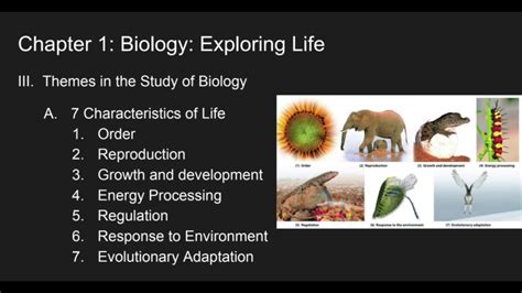 Biology Exploring Life Concept Check Answers Reader