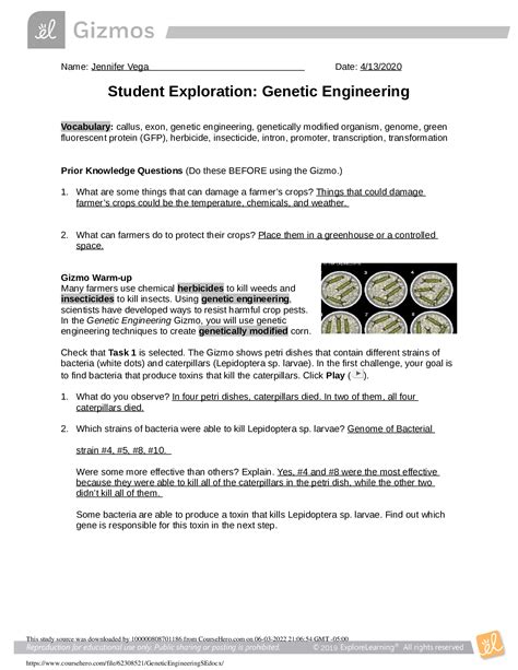 Biology Genetic Engineering Answers Epub