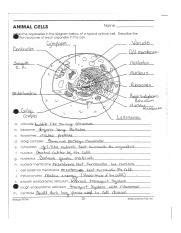 Biology If8765 46answers Doc