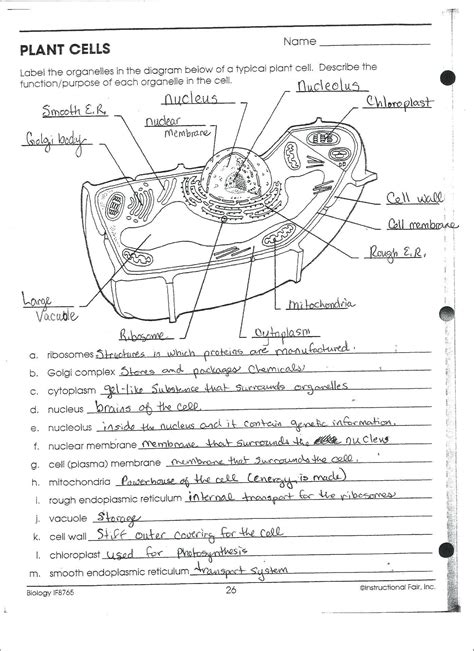 Biology If8765 Worksheet Page 82 Answer Key Doc