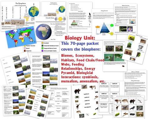 Biology Packet Answer Key Biosphere Doc