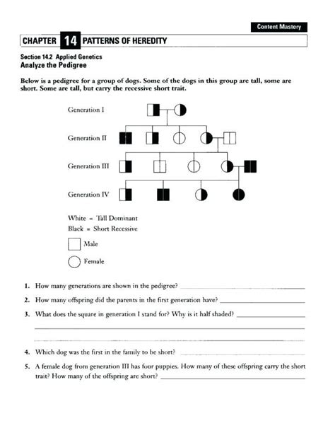 Biology Patterns Of Inheritance Packet Answers Doc