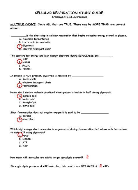 Biology Pearson Workbook Answers Chapter16 Epub