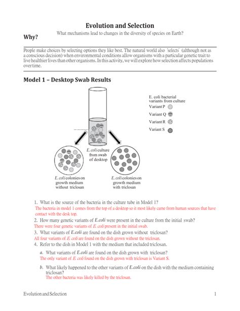 Biology Pogil Answer Key Evolution Selection Doc