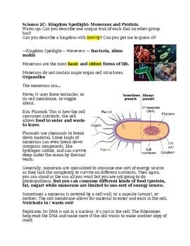 Biology Protists Answer Key Doc