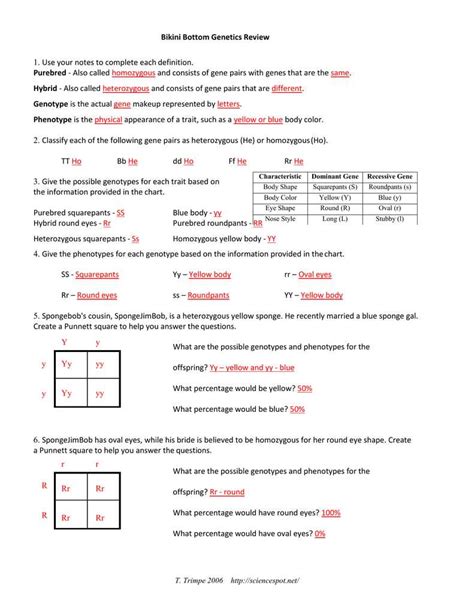 Biology Section 12 2 Review Human Genetics Answers PDF