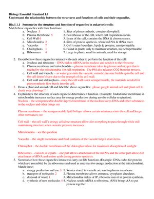 Biology Study Packet The Brain Answer Key Reader