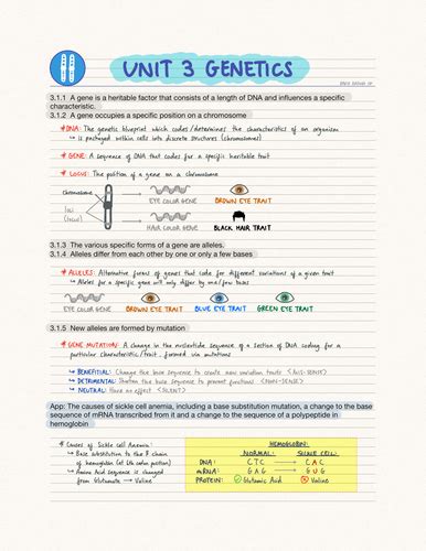 Biology Unit 3 Genetics Packet Answers Kindle Editon