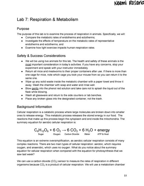 Biology Web Lab 7 Answers Respiration PDF