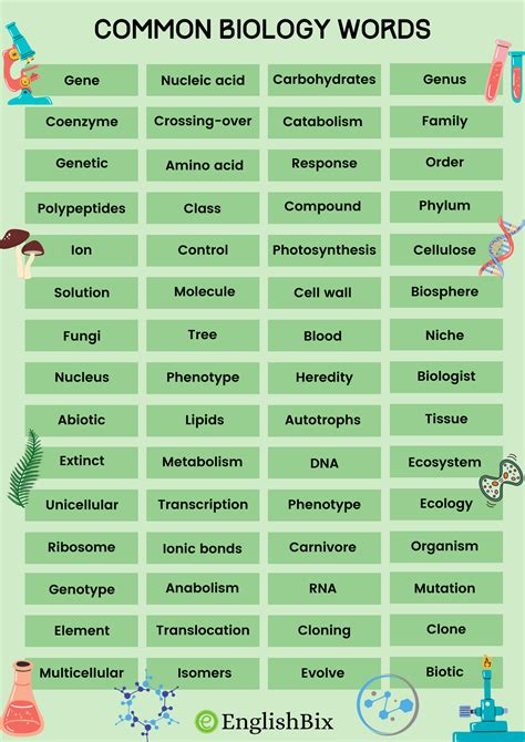Biology Words That Start with B: A Biologist's Lexicon