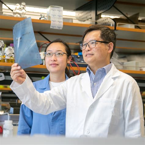 Biology at USC: A Gateway to Cutting-Edge Research and Innovation