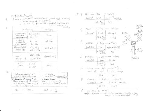 Biologyjunction Answer Key Doc