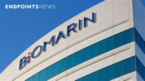 Biomarin Stock Soars 17% on Strong Gene Therapy Data