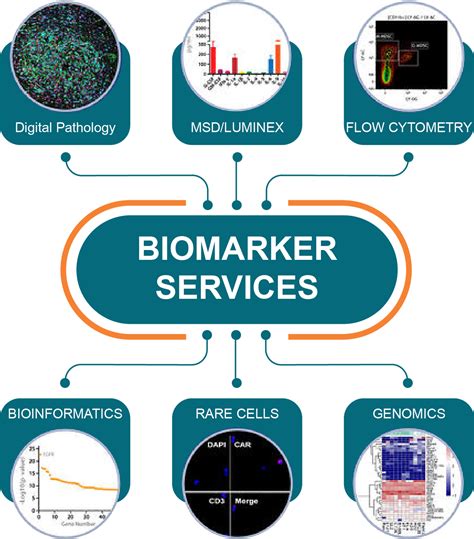Biomarkers and Human Biomonitoring Doc