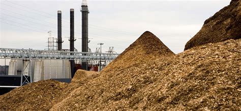 Biomass Crusher: 500 Ways to Turn Plant Waste into Profit