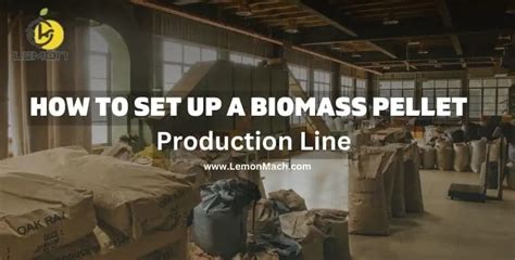 Biomass Pellet Production Line: A 10,000-word Guide to Turning Biomass into Profit