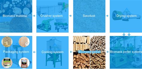 Biomass Pellet Production Line: A Comprehensive Guide to 10,000-Acre Forest's Future Fuel