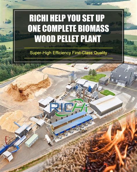 Biomass Pellet Production Line: A Lucrative 3-Step Guide to Financial Success