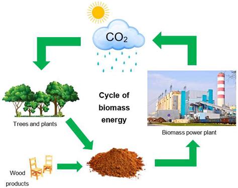 Biomass Potential: