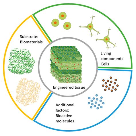 Biomaterials: