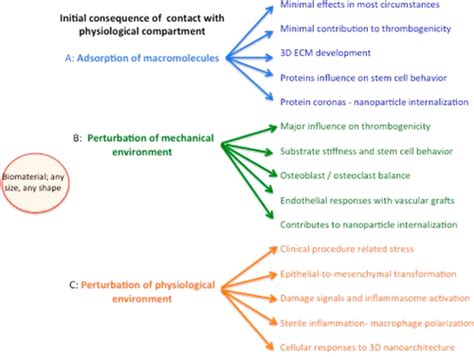 Biomaterials Science and Biocompatibility PDF