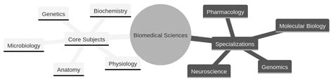 Biomedical Course Poly: A Comprehensive Guide for Success