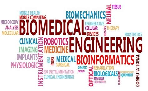 Biomedical Engineering: A Comprehensive Exploration of the Interdisciplinary Field