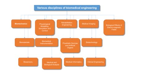 Biomedical Engineering: A Symphony of Disciplines