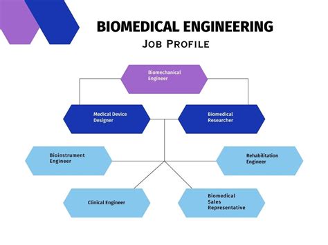 Biomedical Engineering: A Thriving Field with Limitless Opportunities